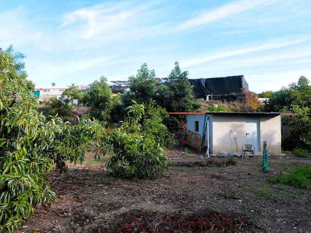  Plot in San Pedro de Alcántara