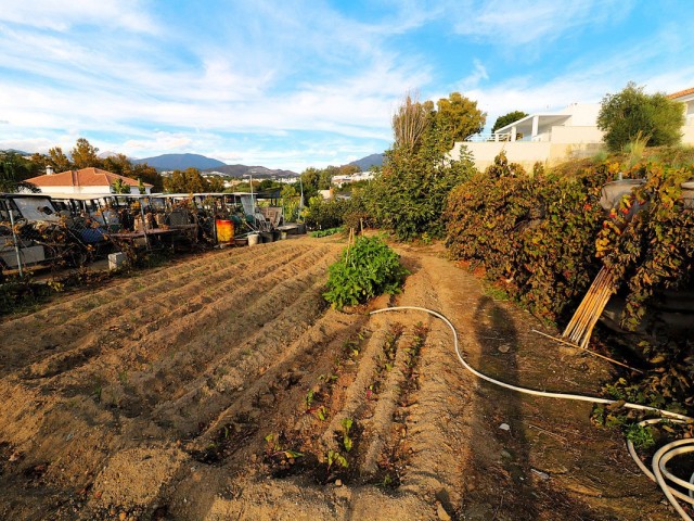  Plot in San Pedro de Alcántara