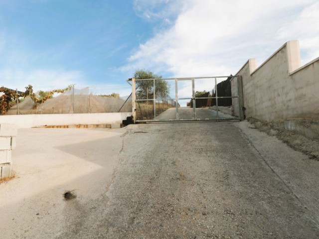  Plot in San Pedro de Alcántara