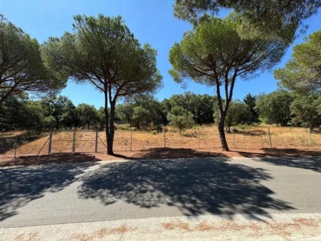  Perceel in Sotogrande Alto