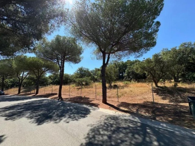  Perceel in Sotogrande Alto