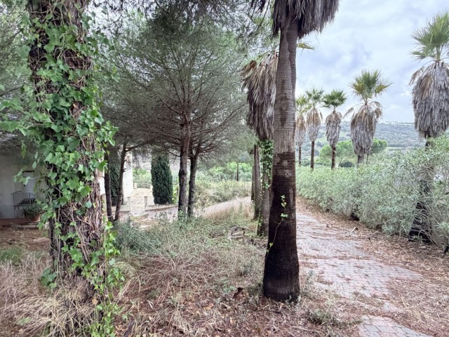 5 Bedrooms Villa in Sotogrande