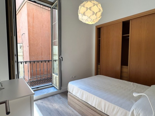 1 Bedrooms Apartment in Málaga