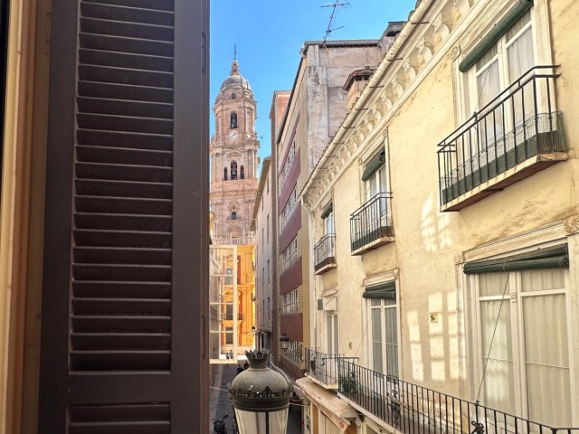 1 Bedrooms Apartment in Málaga