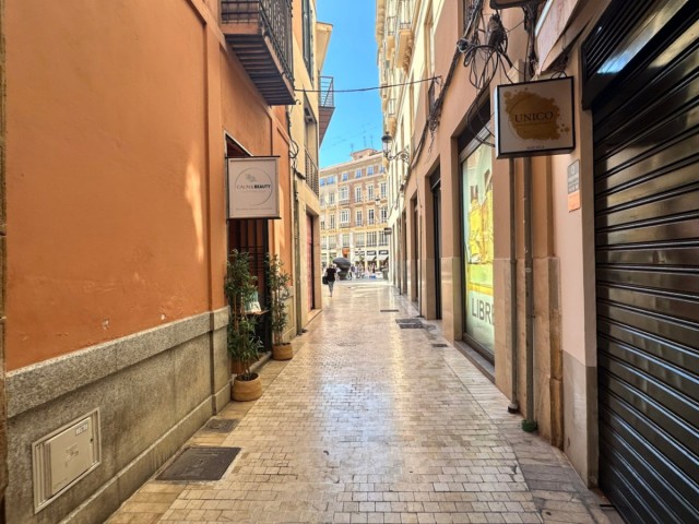 1 Bedrooms Apartment in Málaga