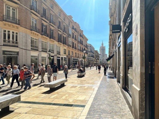 1 Bedrooms Apartment in Málaga