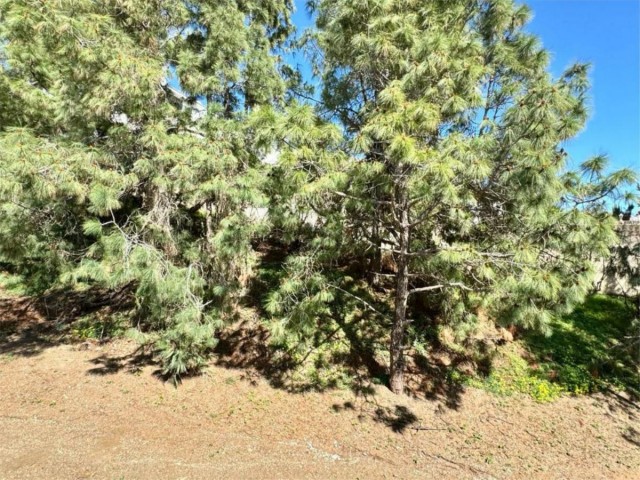 Adosado con 3 Dormitorios  en El Chaparral