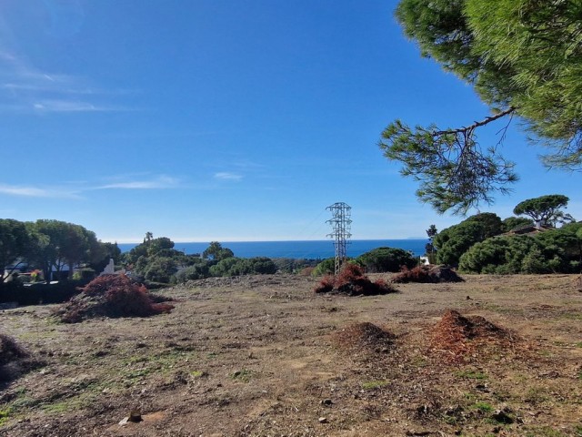  Tontti Elviria