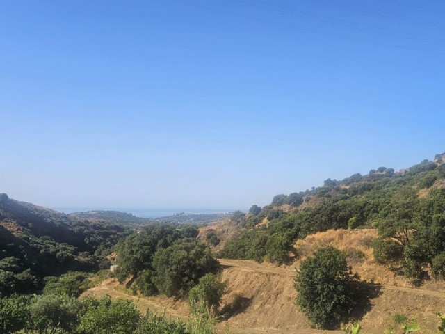 3 Bedrooms Villa in Estepona