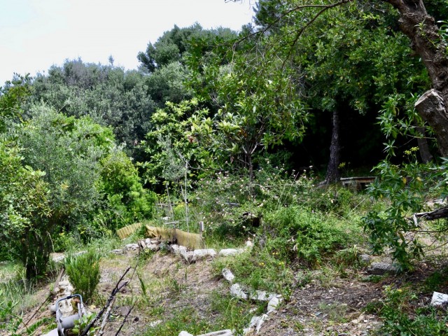  Plot in Estepona