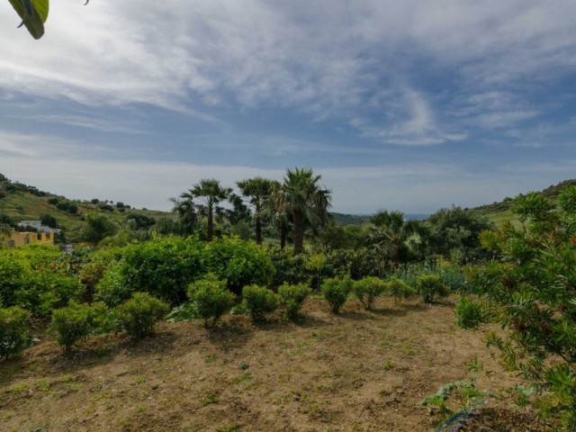 4 Bedrooms Villa in Estepona