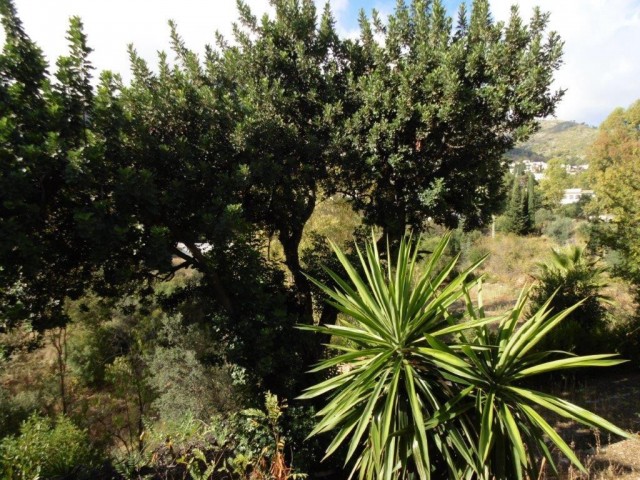 5 Bedrooms Villa in Mijas