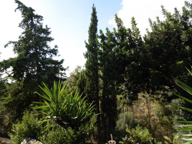 5 Bedrooms Townhouse in Mijas