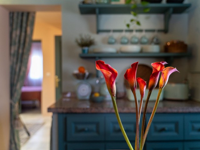 4 Bedrooms Townhouse in San Pedro de Alcántara