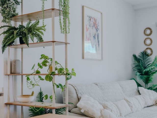 2 Schlafzimmer Apartment in Selwo