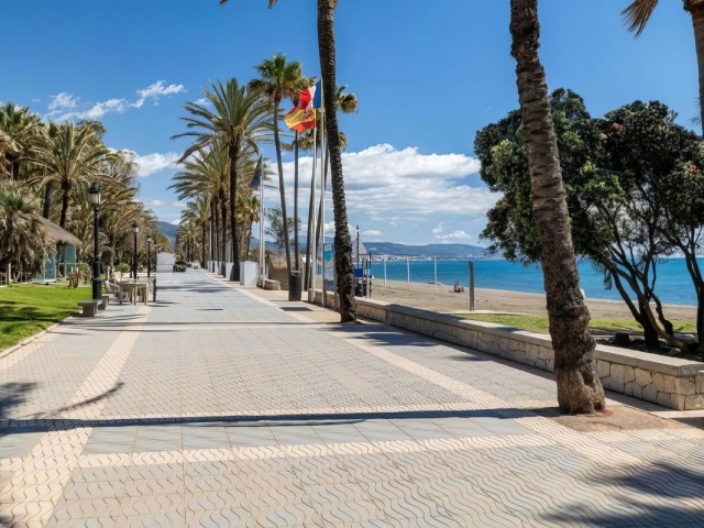 Commercial in San Pedro de Alcántara