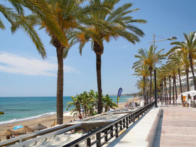 Commercial in San Pedro de Alcántara