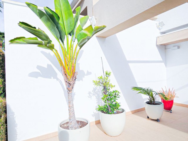 3 Bedrooms Villa in La Cala Golf