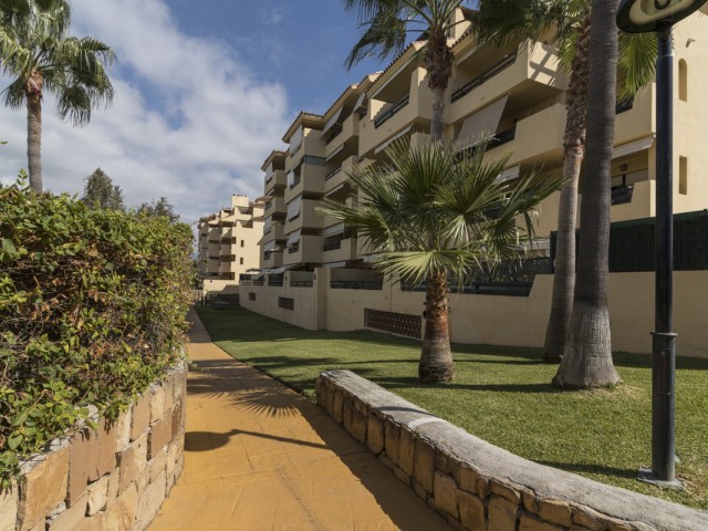 Appartement, Selwo, R5164654