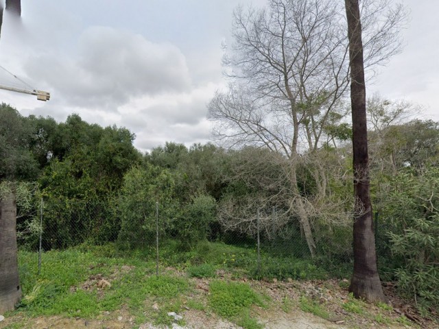  Plot in Sotogrande Alto