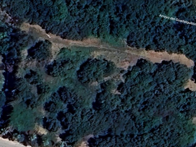  Plot in Sotogrande Alto