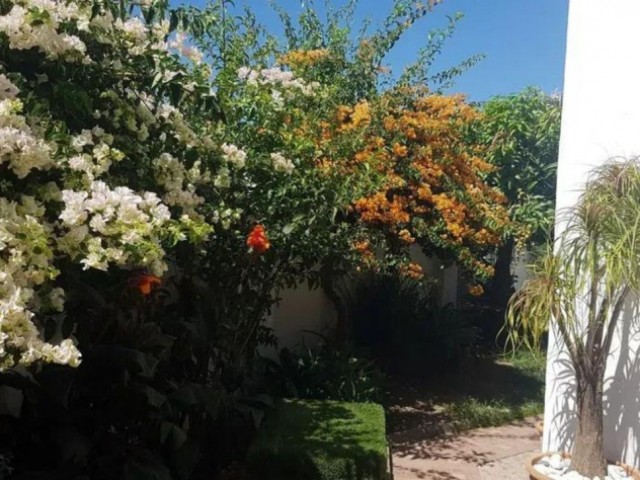 4 Schlafzimmer Reihenhaus in Estepona