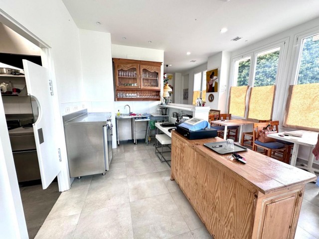 Commercial in Nueva Andalucía