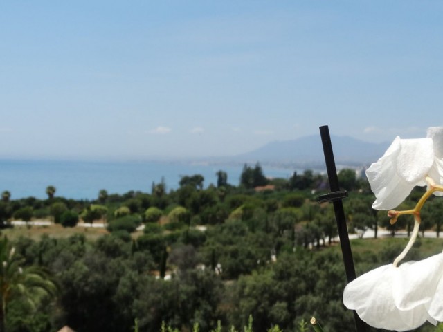 Penthouse in Río Real