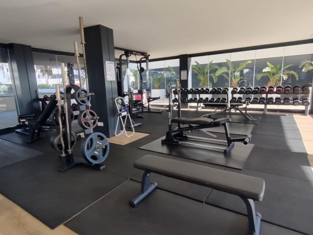 Apartamento con 3 Dormitorios  en Los Alamos