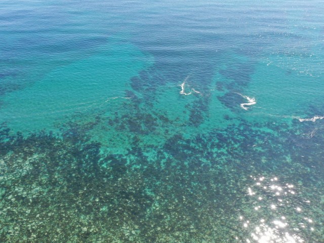  Plot in Guadalmina Baja