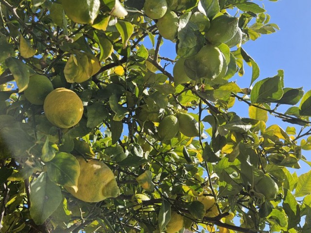 3 Slaapkamer Villa in Torreblanca