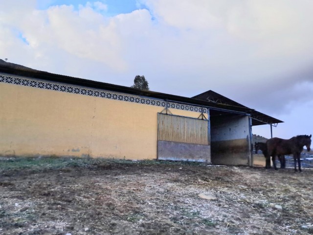 Commercial avec 8 Chambres  à Campo Mijas