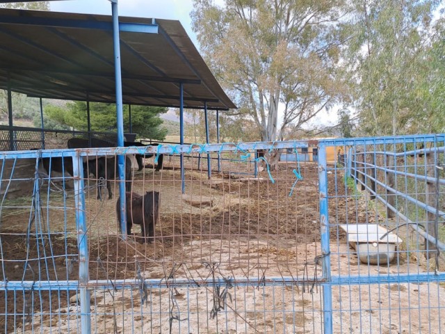 Commercial avec 8 Chambres  à Campo Mijas