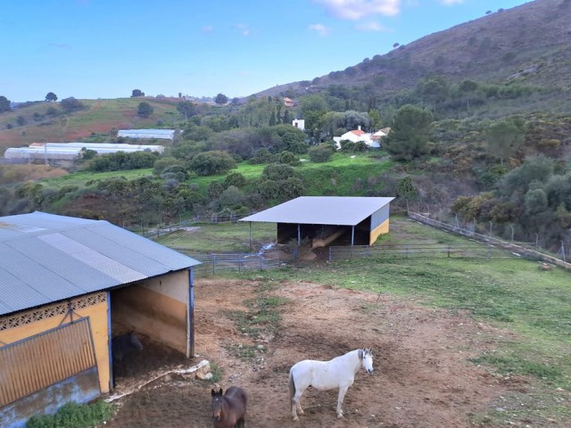 Commercial avec 8 Chambres  à Campo Mijas