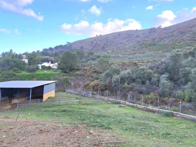 Liikekiinteistö Campo Mijas