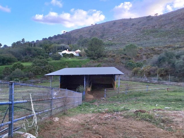 Liikekiinteistö Campo Mijas