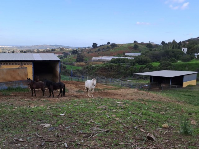 Liikekiinteistö Campo Mijas