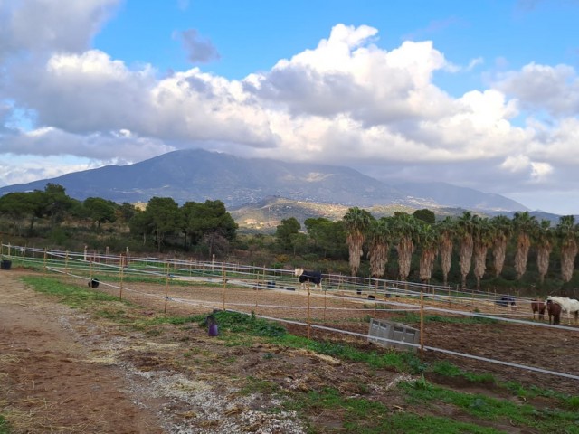 Liikekiinteistö Campo Mijas - R5271862