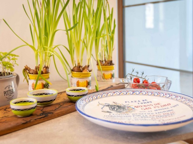 4 Bedrooms Villa in Estepona