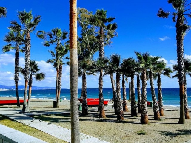 Plot, San Pedro de Alcántara