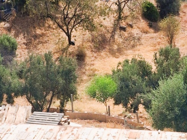 3 Makuuhuoneen Huvila Marbella