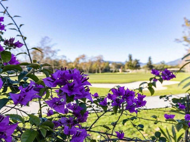 3 Bedrooms Townhouse in Guadalmina Baja