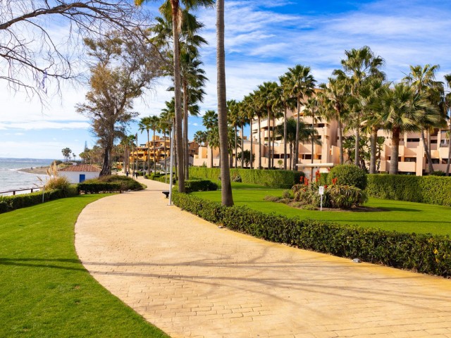 3 Bedrooms Apartment in New Golden Mile