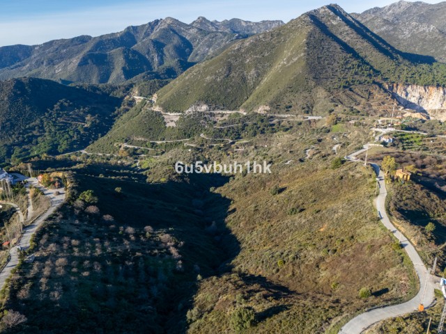  Plot in Ojén