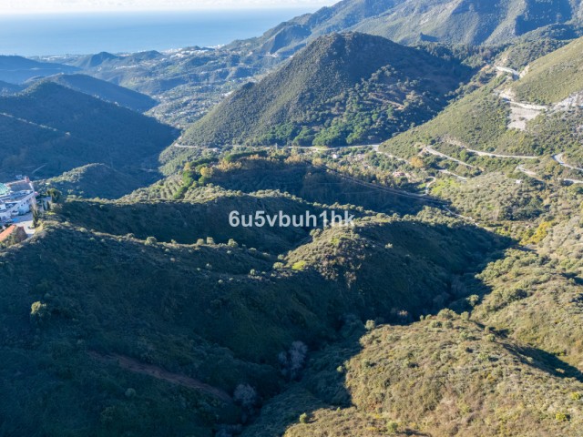  Plot in Ojén