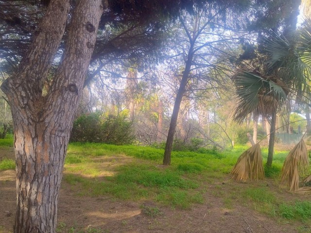 Grundstück, Hacienda Las Chapas, R4802929