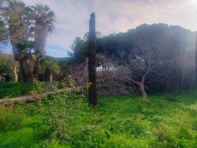  Grundstück in Hacienda Las Chapas