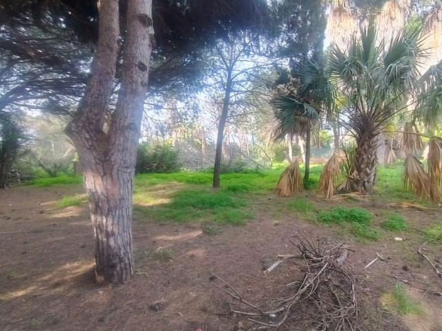 Perceel, Hacienda Las Chapas, R4802929