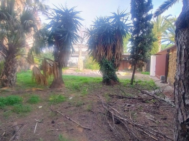 Perceel, Hacienda Las Chapas, R4802929