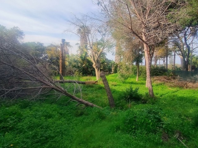 Perceel, Hacienda Las Chapas, R4802929